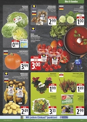 Tomaten im E center Prospekt in Weimar Aktueller E center Prospekt mit Tomaten, "Wir lieben Lebensmittel!", Seite 11