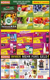 Ähnliche Deutschlandfahne Angebote im Prospekt "Mehr fürs Geld" von Norma Ähnliches Angebot bei Norma in Prospekt "Mehr fürs Geld" gefunden auf Seite 9