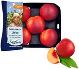 Aktuelle Nektarinen Angebote bei REWE in Mannheim Aktuelles Nektarinen Angebot bei REWE in Mannheim ab 3,99 €