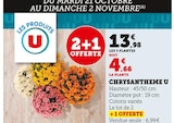 Chrysanthème à Hyper U dans Saint-Pierre-le-Vieux Chrysanthème à Hyper U dans Saint-Pierre-le-Vieux