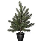 Topfpflanze, künstlich mit LED batteriebetrieben/Weihnachtsbaum grün für 19,99 € bei IKEA im Angebot Topfpflanze, künstlich mit LED batteriebetrieben/Weihnachtsbaum grün im aktuellen IKEA Prospekt