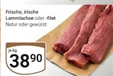 GLOBUS Braunschweig Prospekt mit  im Angebot für 38,90 €