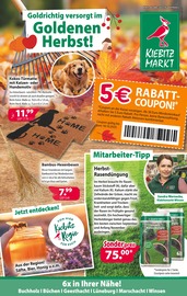 Bambus im Kiebitzmarkt Prospekt in Buxtehude Aktueller Kiebitzmarkt Prospekt mit Bambus, "Goldrichtig versorgt im Goldenen Herbst!", Seite 1