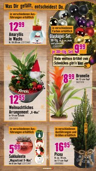 Tannenbaum im Hornbach Prospekt "Wünsche sind gut. PROJEKTE sind besser." mit 33 Seiten (Mainz)