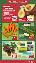 Zucchini Angebote im Prospekt "Aktuelle Angebote" von ALDI Nord auf Seite 3