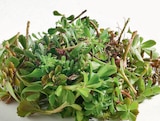 SEDUM-SPROSSEN bei Raiffeisen Waren GmbH im Prospekt "" für 