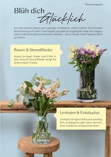 Blumen im Bonita Prospekt "Frühling / Sommer 2026" mit 44 Seiten (Remscheid)