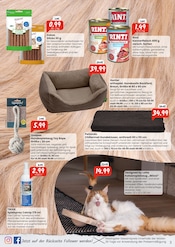 Fleisch im Raiffeisen Rhein-Ahr-Eifel Handelsgesellschaft mbH Prospekt in Königswinter Aktueller Raiffeisen Rhein-Ahr-Eifel Handelsgesellschaft mbH Prospekt mit Fleisch, "Die Temperaturen fallen. Unsere Preise auch!", Seite 3