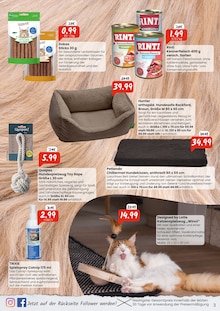 Katzenfutter im aktuellen Raiffeisen Rhein-Ahr-Eifel Handelsgesellschaft mbH Prospekt (Bonn) Katzenfutter im Raiffeisen Rhein-Ahr-Eifel Handelsgesellschaft mbH Prospekt "Die Temperaturen fallen. Unsere Preise auch!" mit 4 Seiten (Bonn)