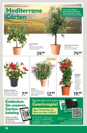 Oleander Angebot im aktuellen BayWa Bau- und Gartenmärkte Prospekt auf Seite 18