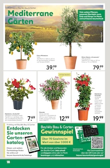 Pflanzen im BayWa Bau- und Gartenmärkte Prospekt "Hier bin ich gern" mit 24 Seiten (Erlangen)