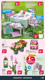 Hortensie im aktuellen Netto mit dem Scottie Prospekt (Cottbus) Hortensie im Netto mit dem Scottie Prospekt "Günstig. Besser. Für Dich." mit 42 Seiten (Cottbus)