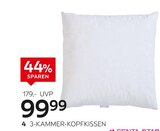 3-Kammer-Kopfkissen „Golden Glow“ Angebote von Centa-Star bei XXXLutz Möbelhäuser Memmingen für 99,99 €