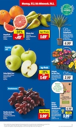 Äpfel Angebot im aktuellen Lidl Prospekt auf Seite 3