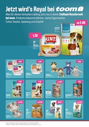 Kinderspielzeug Angebot im aktuellen toom Baumarkt Prospekt auf Seite 2