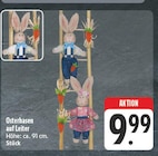 Osterhasen auf Leiter Angebote bei nah und gut Zwickau für 9,99 €
