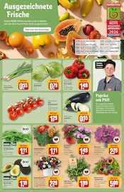 Tagetes Angebote im Prospekt "Dein Markt" von REWE Tagetes Angebote im Prospekt "Dein Markt" von REWE auf Seite 7