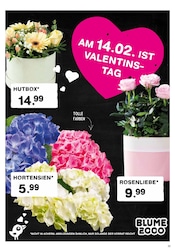 Aktueller EDEKA Prospekt mit Valentinstag, "Aktuelle Angebote", Seite 3