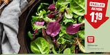 Aktuelles Wildkräuter Salat Angebot bei REWE in Frankfurt (Main) ab 1,19 €