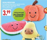 Fruchtige Plüschfreunde Kürbis Angebote bei Marktkauf Gladbeck für 3,99 €