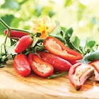 Aktuelles Mexikanischer Jalapeno Angebot bei Dehner Garten-Center in Koblenz ab 3,59 €