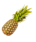 Ananas im Angebot bei ALDI Nord in Kiel Ananas Angebote bei ALDI Nord Kiel für 1,29 €