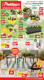 Thomas Philipps Discounter Prospekt der aktuellen Woche mit 22 Seiten, gültig von 23.03.2026 bis 28.03.2026, in Mühbrook und Umgebung Aktueller Thomas Philipps Discounter Prospekt in Mühbrook und Umgebung, "Top Angebote" mit 22 Seiten, 23.03.2026 - 28.03.2026
