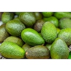 Avocat en promo chez Carrefour Avocat dans le catalogue Carrefour