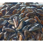 Moules de bouchot S.T.G FILIÈRE QUALITÉ CARREFOUR - FILIERE QUALITE CARF - Carrefour à Béziers Moules de bouchot S.T.G FILIÈRE QUALITÉ CARREFOUR - FILIERE QUALITE CARF en promo chez Carrefour Béziers à 3,99 €