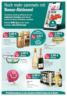 Warsteiner im Akzenta Prospekt "Aktuelle Angebote" mit 8 Seiten (Mettmann)