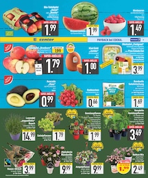 EDEKA Wurzelgemuese im Prospekt 