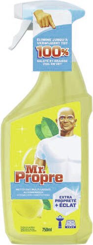 Géant Casino Villeneuve-la-Garenne - Spray ménager citron Promo Spray ménager citron dans le catalogue Géant Casino "Les 366 jours les + promo de France" à Villeneuve-la-Garenne