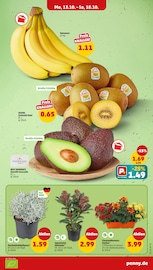 Aktueller Penny Prospekt mit Bananen, "Wer günstig will, muss Penny.", Seite 7