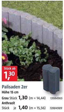 BAUHAUS Pocking - Palisaden 2er Palisaden 2er Angebot bei BAUHAUS Pocking im Prospekt Handzettel KW 09