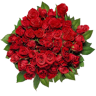 Großer Rosenstrauß im aktuellen Lidl Prospekt