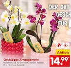 Orchideen Arrangement Multiflora Angebote bei Netto Marken-Discount Mülheim für 14,99 €