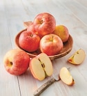 Pomme à U Express dans Saint-Étienne-des-Sorts Pomme à U Express dans Saint-Étienne-des-Sorts