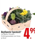 EDEKA München Prospekt mit  im Angebot für 4,99 €