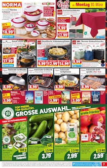 Äpfel im aktuellen Norma Prospekt (Solingen (Klingenstadt)) Äpfel im Norma Prospekt "Mehr fürs Geld" mit 22 Seiten (Solingen (Klingenstadt))