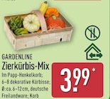 Zierkürbis-Mix bei ALDI Nord im Dörverden Prospekt für 3,99 €