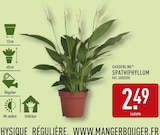 Spathiphyllum - Gardenline en promo chez Aldi Spathiphyllum - Gardenline dans le catalogue Aldi