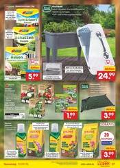 Aktueller Netto Marken-Discount Prospekt mit Zimmerpflanzen, "Aktuelle Angebote", Seite 39