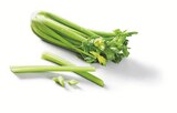 Angebot im Lidl Oldenburg Prospekt Lidl Oldenburg Prospekt mit im Angebot für 0,99 €