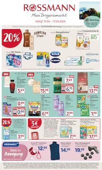 Bekleidung im aktuellen Rossmann Prospekt (Mönchengladbach) Bekleidung im Rossmann Prospekt "Mein Drogeriemarkt" mit 23 Seiten (Mönchengladbach)
