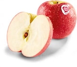 Aktuelles Äpfel Angebot bei Netto Marken-Discount in Aachen ab 2,49 €
