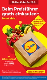 Einkaufskorb Angebot im aktuellen Lidl Prospekt auf Seite 33