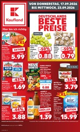 Schweinefleisch im Kaufland Prospekt in Kaufbeuren Aktueller Kaufland Prospekt mit Schweinefleisch, "Hier bin ich richtig", Seite 13