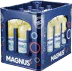 Sport Vital im Angebot bei Marktkauf in Pinneberg Sport Vital Angebote von Wittenseer oder Magnus bei Marktkauf Pinneberg für 7,49 €
