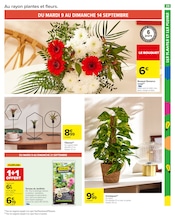 Prospectus Carrefour Market "LE MOIS MONOPOLY" en cours à Mérignac, Page 31 Catalogue Carrefour Market en cours à Mérignac, "LE MOIS MONOPOLY", Page 31