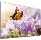 Aktuelle Fernseher Angebote bei expert in Plauen Aktuelles OLED TV Angebot bei expert in Plauen ab 1.249,00 €